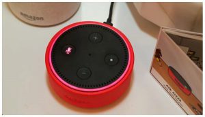 Echo Dot Kids Edition and Privacy  