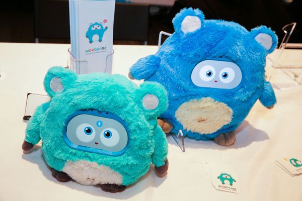 Smart toys are a minefield, for both toymakers and parents Smart toys are a minefield, for both toymakers and parents