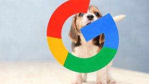 googlephotos-autosync  